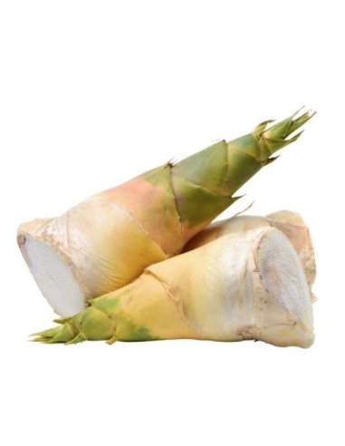 BAMBOU FRAIS 1KG