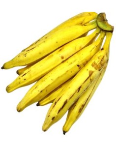 BANANE PLANTAIN CAT1 LE KILO (ORIG.EQUATEUR)