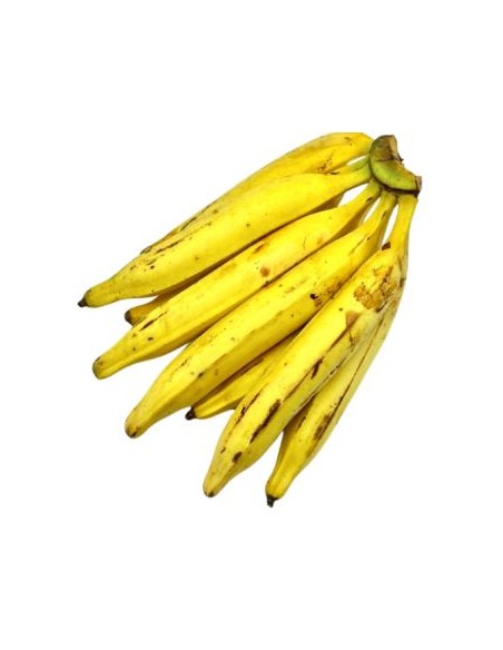 BANANE PLANTAIN CAT1 LE KILO (ORIG.EQUATEUR)