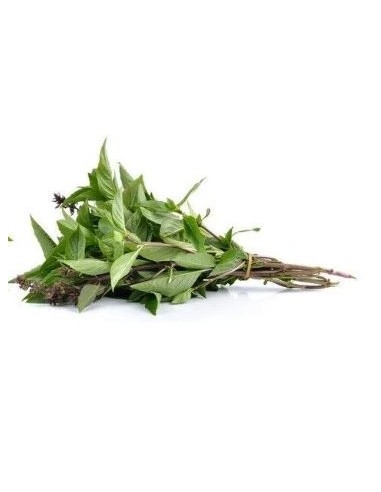 BASILIC THAI LE SACHET 100G (ORIG.LAOS)
