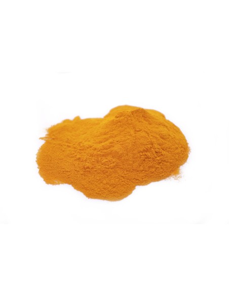 POUDRE CURCUMA 1KG