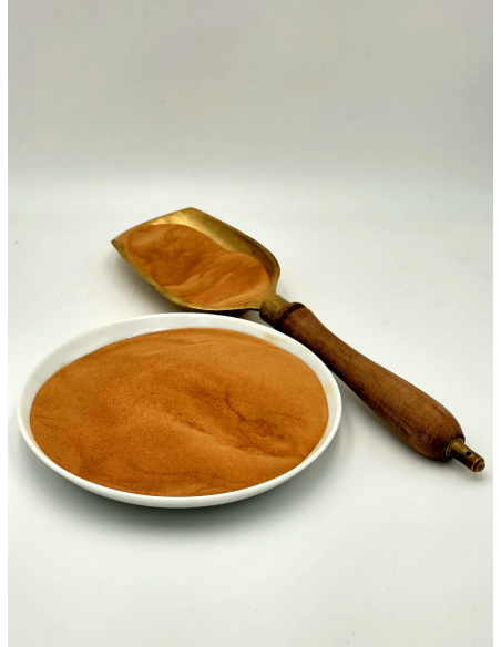 POUDRE TAMARIN UFC 40G