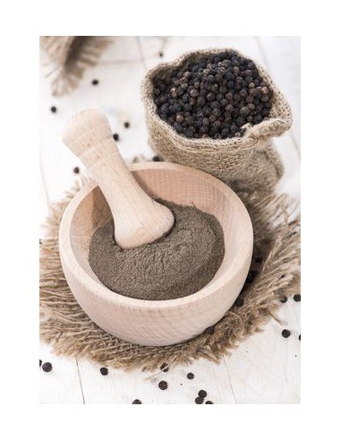POIVRE NOIR POUDRE PSP 1KG