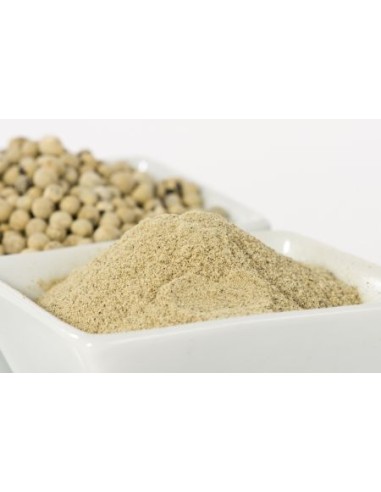 POIVRE BLANC POUDRE PSP 1KG
