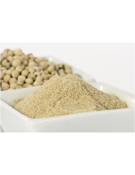 POIVRE BLANC POUDRE PSP 1KG