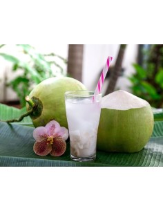 BOISSON COCO BLISS 240ML