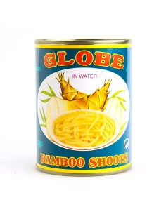 POUSSE BAMBOU FILAMENT GLOBE 2.95KG