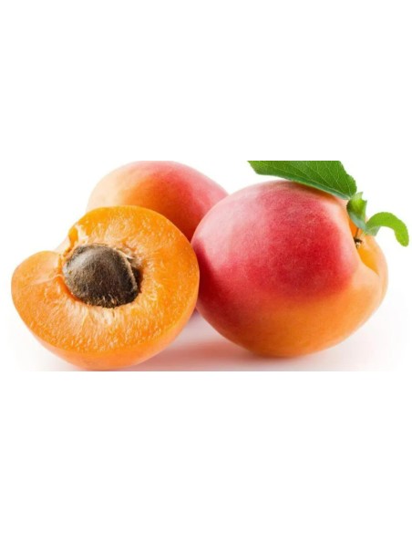 ABRICOT FRAIS LE KILO (ORIG.FRANCE)