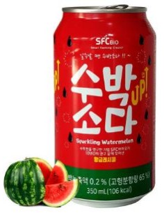 BIO SODA PASTEQUE SFC 350ML*24/CT