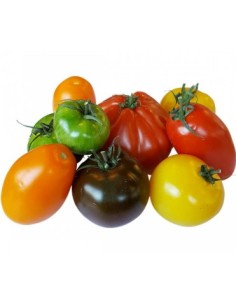 TOMATE SAVEUR D'ANTAN CAT1 LE KILO (ORIG.FRANCE)