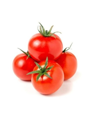 TOMATE RONDE LE KILO (ORIG.BELGIQUE)