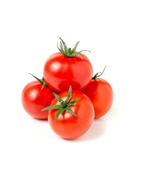 TOMATE RONDE LE KILO (ORIG.BELGIQUE)