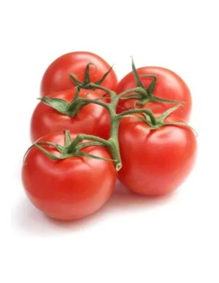 TOMATE GRAPPE CAT1 LE KILO (ORIG.FRANCE)