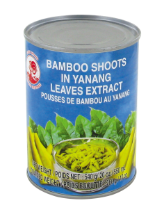 POUSSE BAMBOU A L'EXTRAIT YANANG COQ 540ML