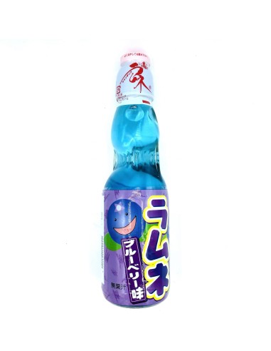 BOISSON GAZEUSE MYRTILLE 200ML*30/CT