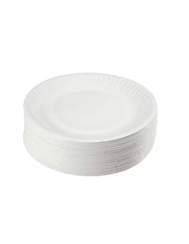 ASSIETTE JETABLE 170MM 100P