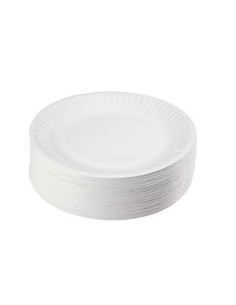 ASSIETTE JETABLE CARTON 23CM 100P