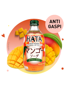 LIMONADE JAPON MANGUE HATASODA 300ML
