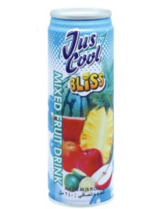 BOISSON EXOTIC BLISS 240ML*30/CT