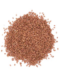 GRAIN SESAME GRILLE YSF 1KG