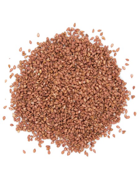 GRAIN SESAME GRILLE YSF 1KG